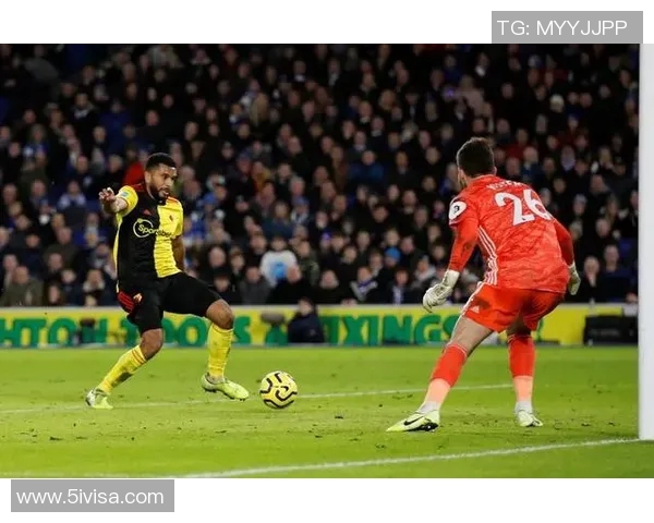 沃特福德主场迎战布莱顿双方争夺英超宝贵积分之战 沃特福德主场迎战布莱顿双方争夺英超宝贵积分之战