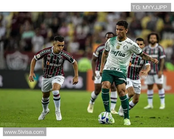 帕梅拉斯与累体育2017年精彩对决回顾与分析