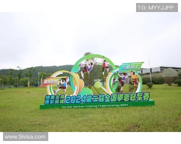 成都攀岩队配合表现分析及其对团队成绩的影响研究MBA