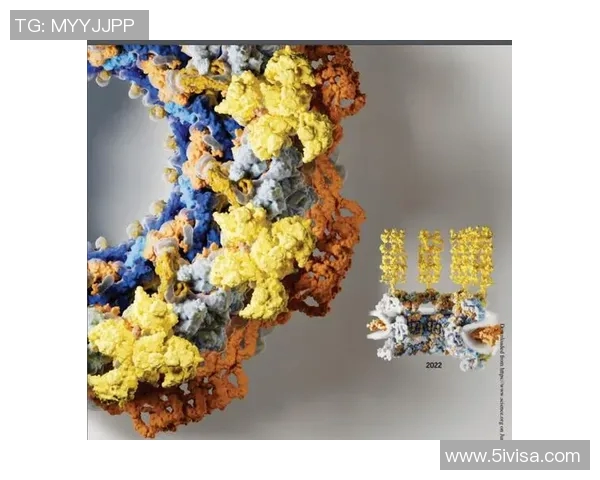滑板团队协作实力榜单权威发布揭示顶尖团队表现与潜力