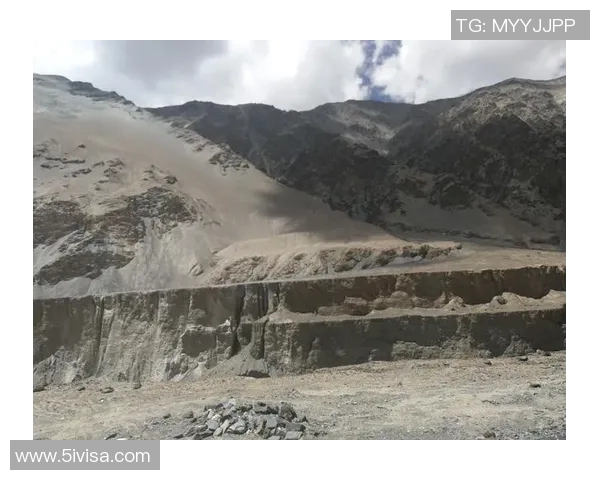 深度对话：刘娜在CSGO世界中的成长与挑战之路