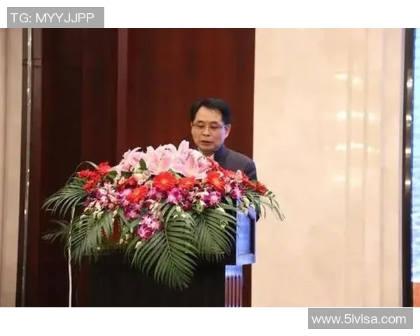 北京羽毛球队实力分析与发展前景的深度探讨与展望